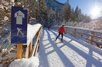 Cross-country skiing